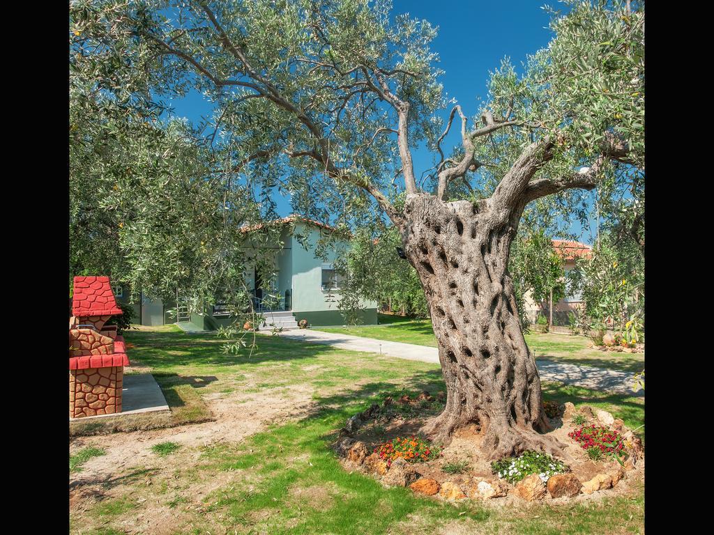 Villa Elia Skala Sotiros Luaran gambar